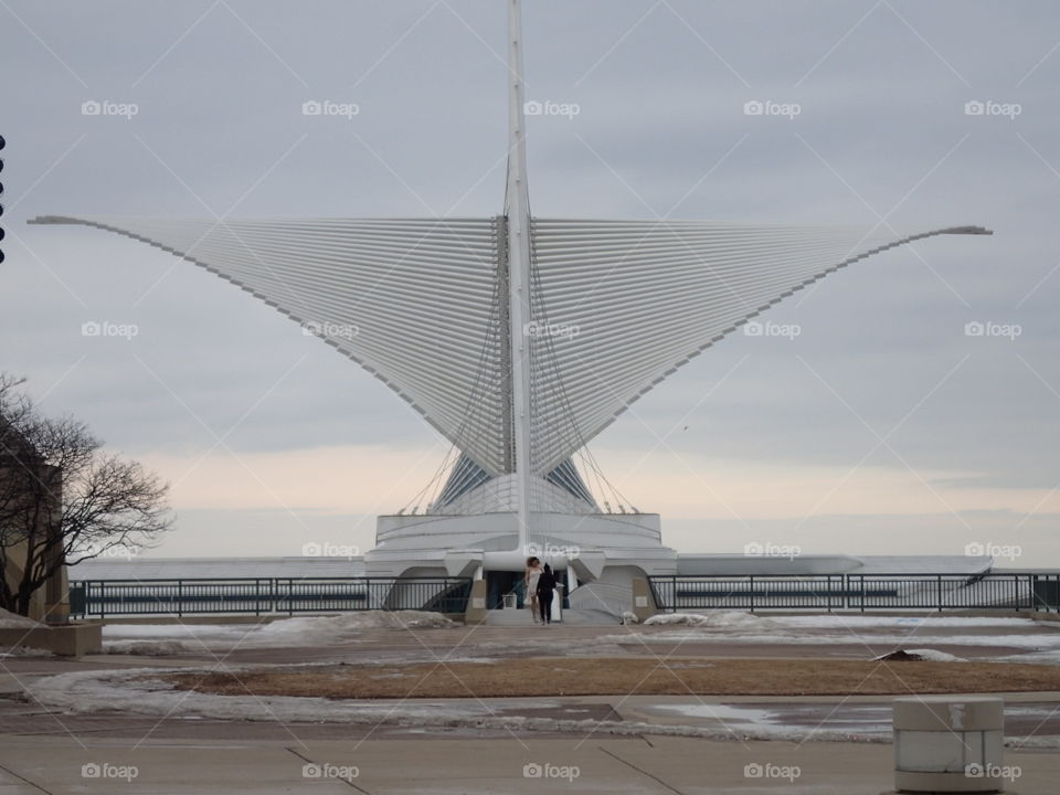 The Wings. wings of museum