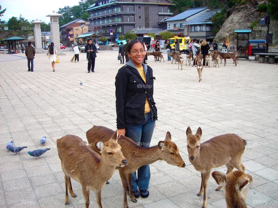 Deer friends 