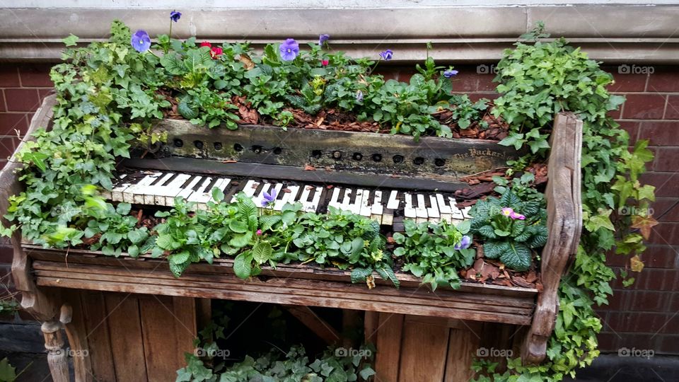 A creative, musical flowerbed.
