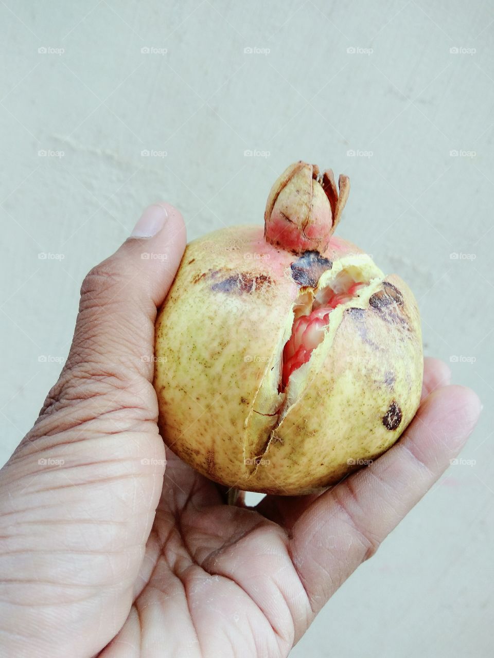 Person holding pomegranate
