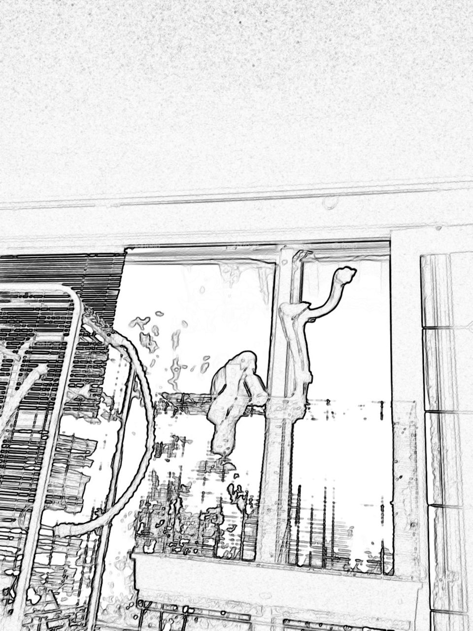 Cockatoo home - digital sketch 