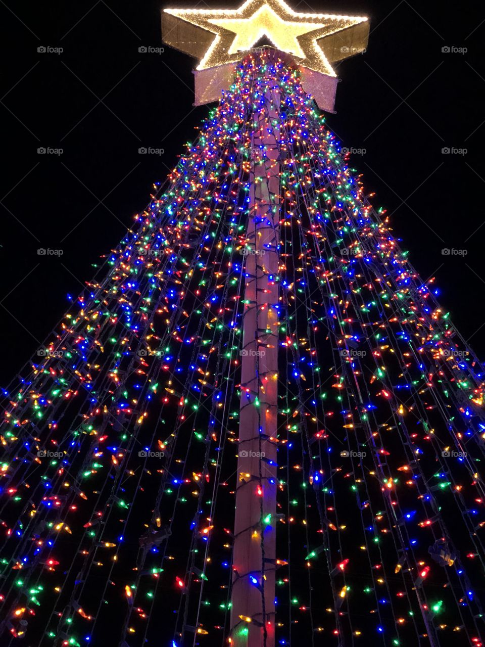 Christmas tree lit up