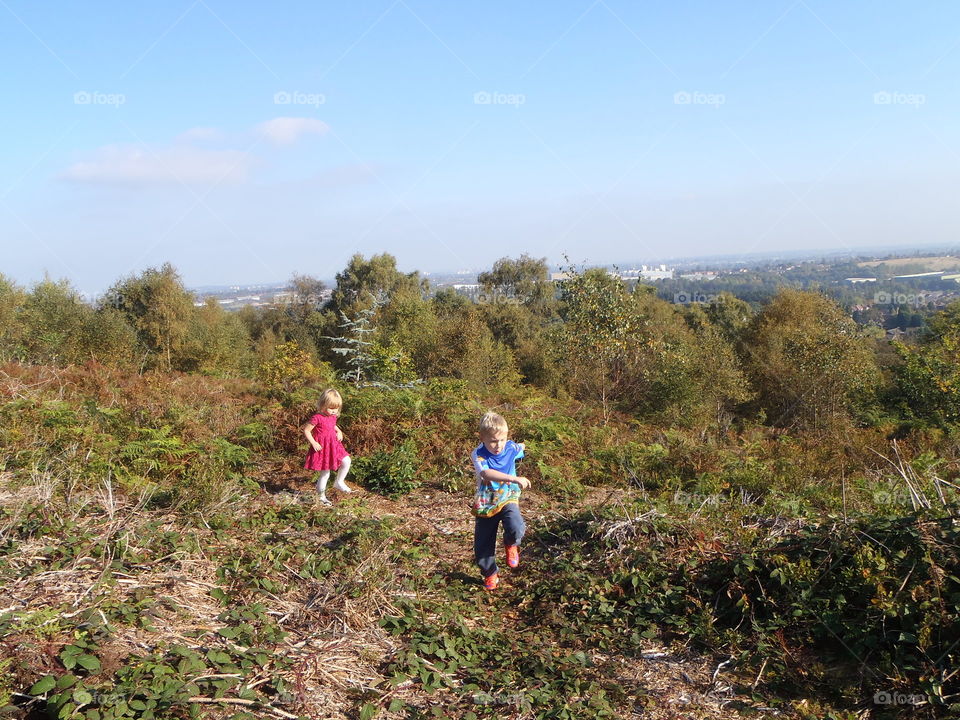 Roaming wild. In Lickey hills country park biingham UK 