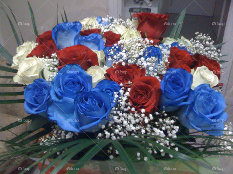 flowers blue red white by michaella