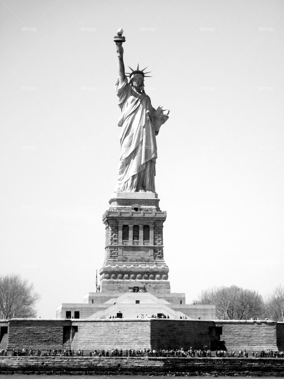Lady Liberty in monochrome