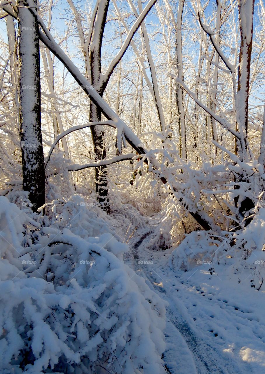 First snowfall of the season
