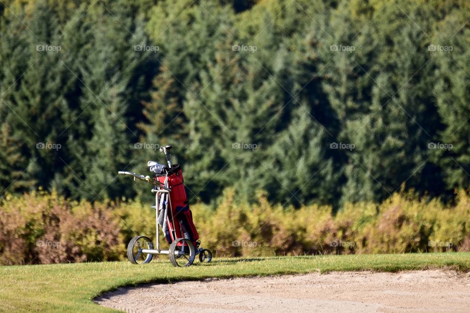 Golf bag on grassy land