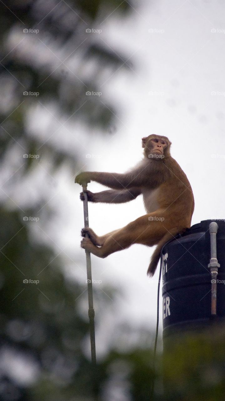 enjoying the fantastic view