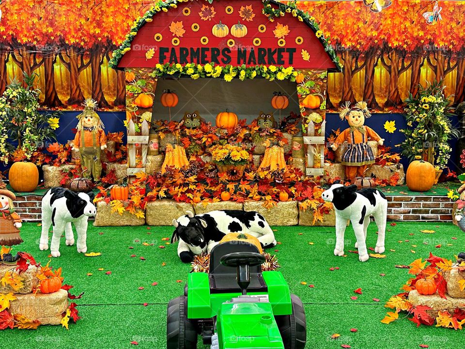 Get in the Halloween Spirit - Visiting the pumpkin farm with scarecrows, cows and pumpkins is alway the first stage of Halloween. This is where you get your freshly picked pumpkins to carve. 