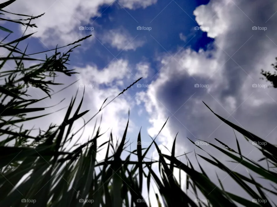 Cloud