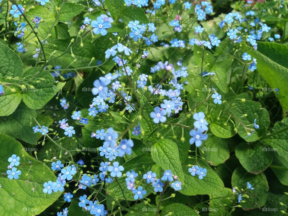 Tenderness in nature