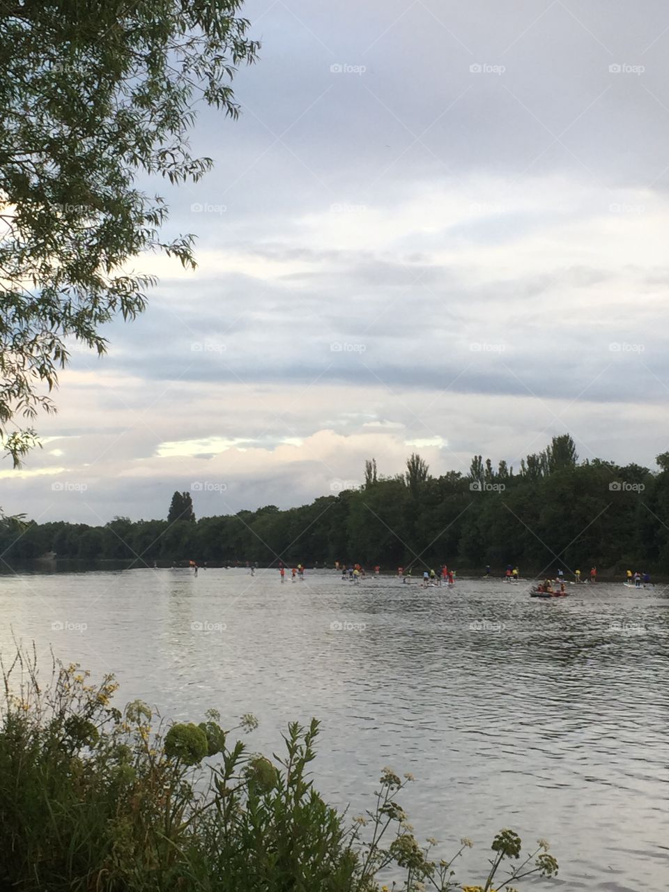 Water, Tree, Lake, Landscape, River