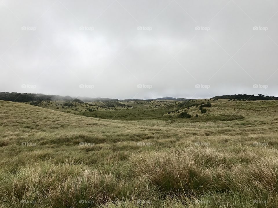 Horton Plains on early morning with a beautiful view - Sri Lanka...