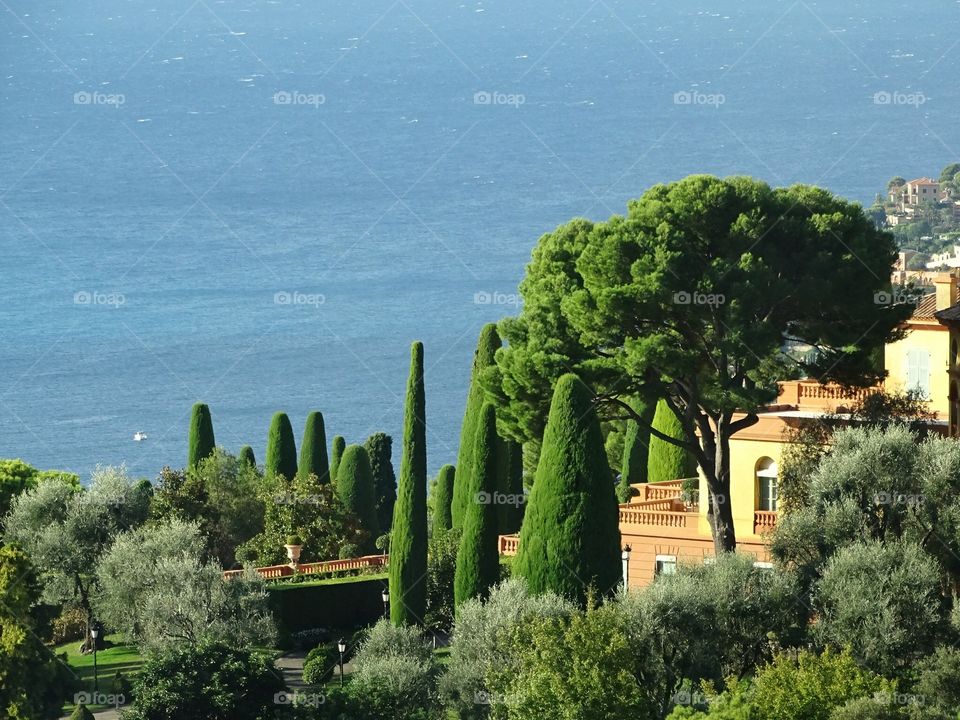 Mediterranean garden