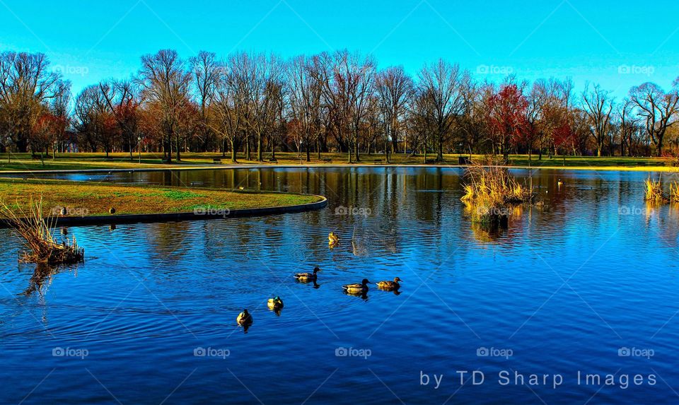 The Mall, Washington DC 