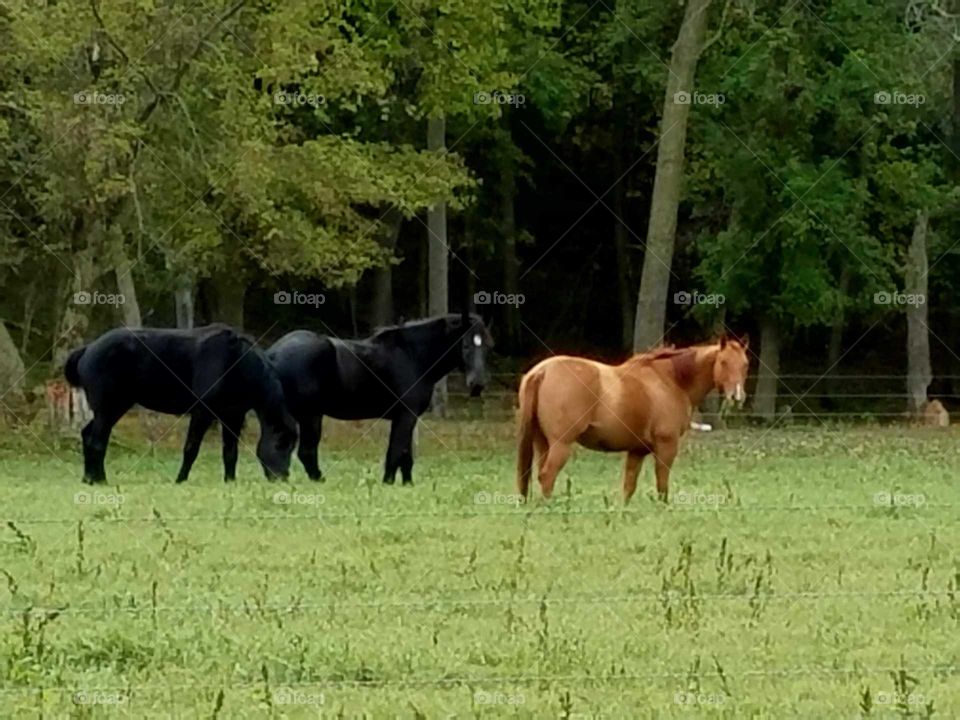 Driving the Back Roads and enjoying everything around us.