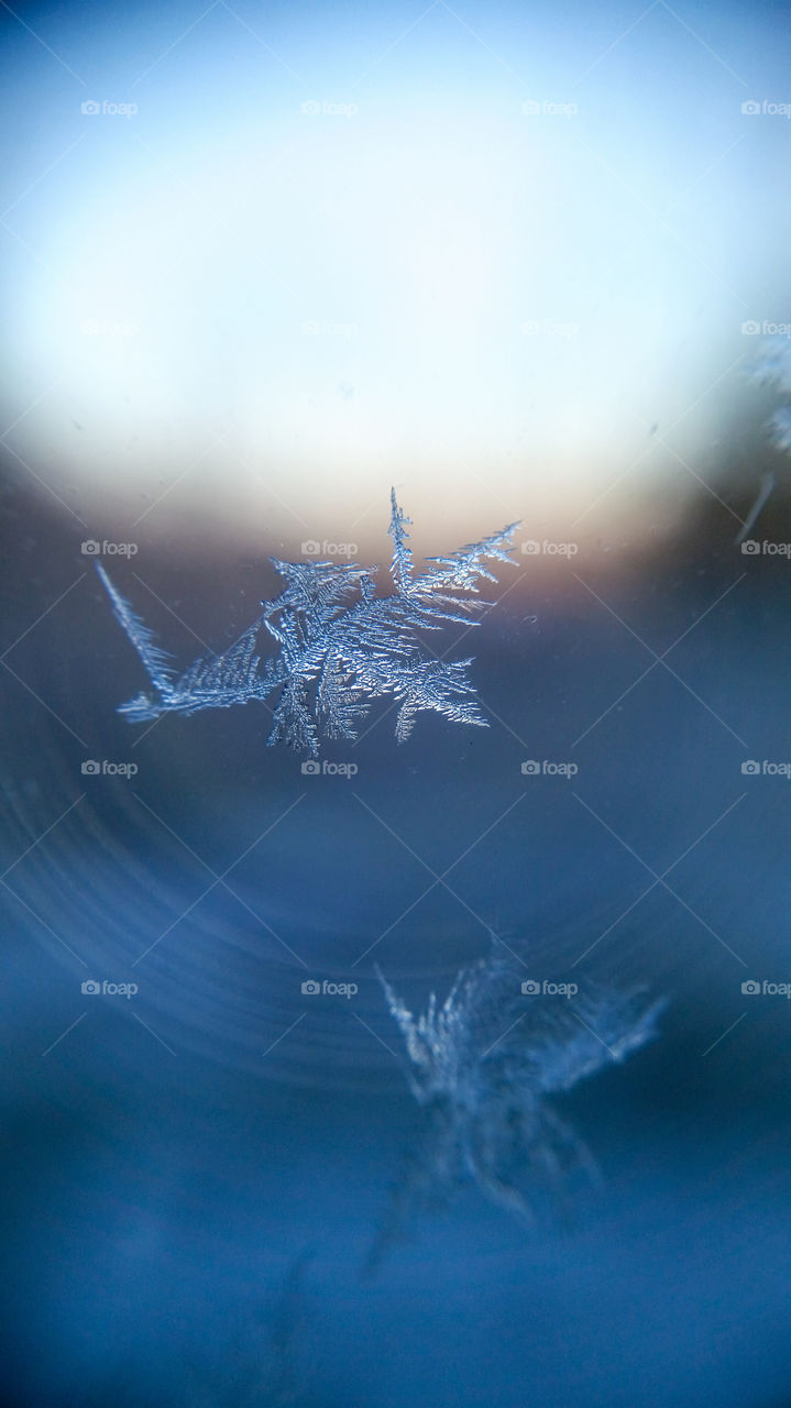 Frost on a window