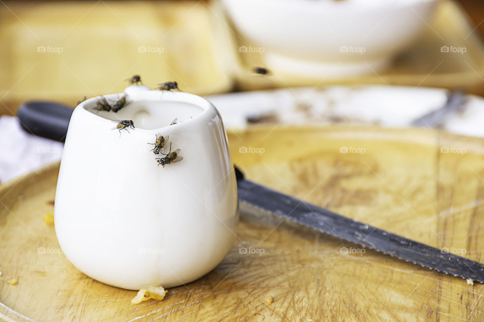 The flies that are feeding on the white Cup is placed on a wooden tray.