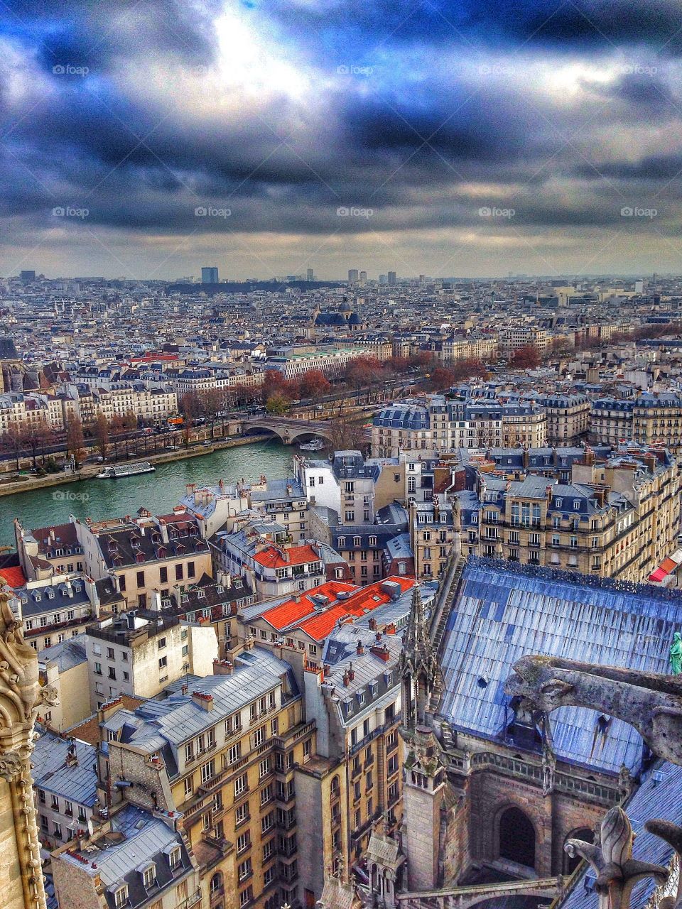 Paris, France from the Notre-Dame