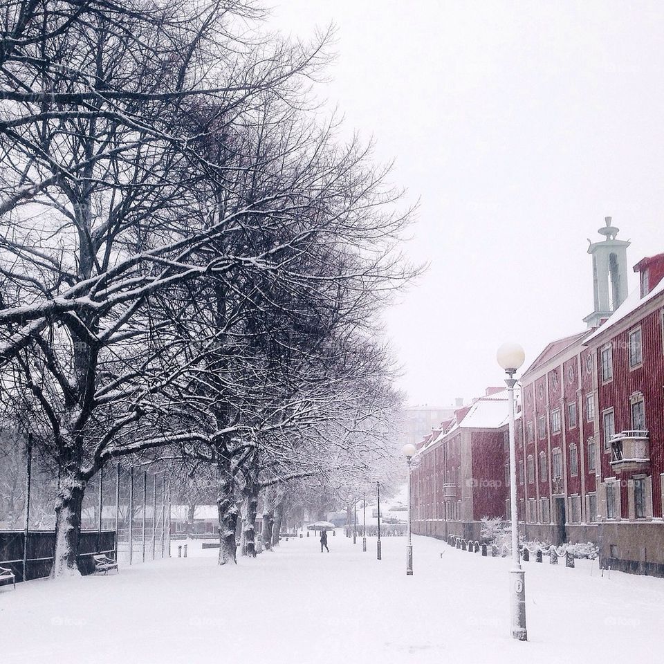 Gothenburg winter 