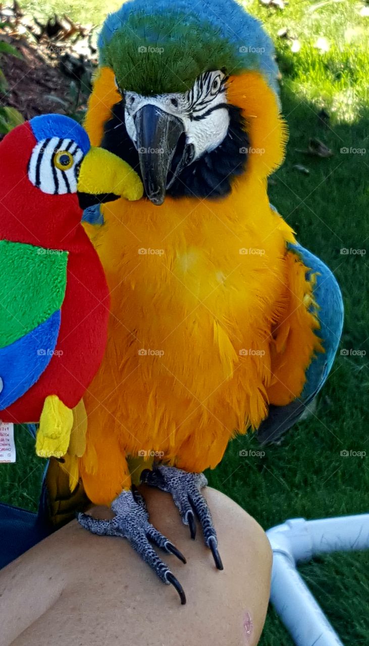 what are you looking at