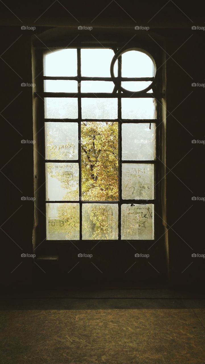 Window