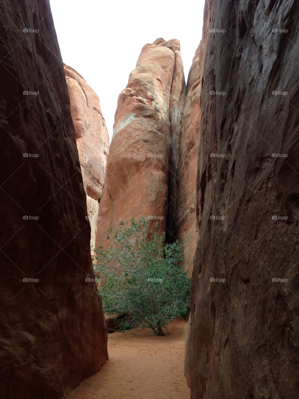 Arches National Park, Utah