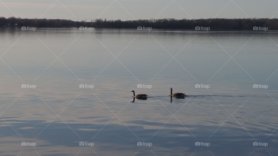 Lake, Reflection, Water, River, No Person