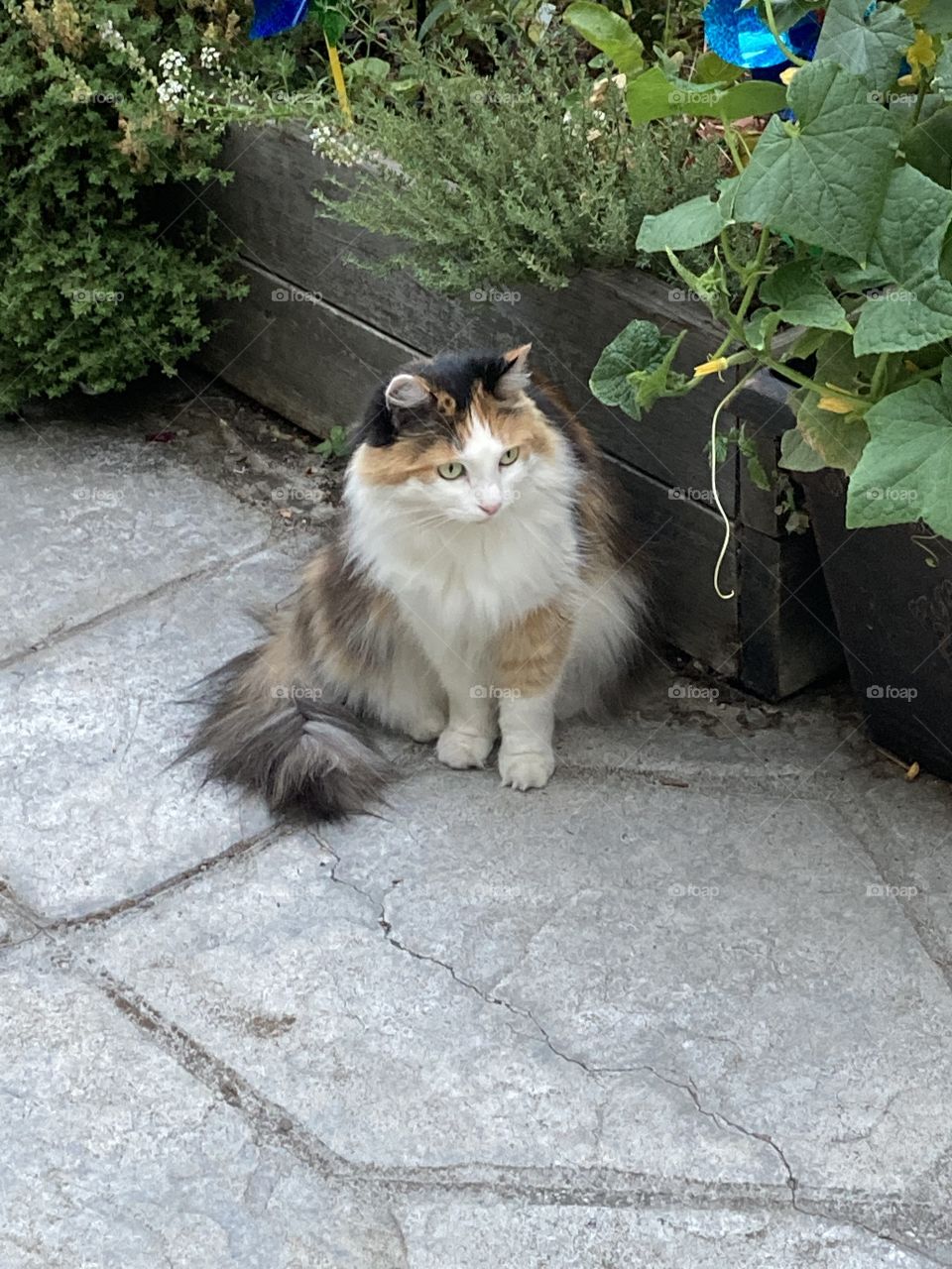 Piqued interest—what’s around the corner?