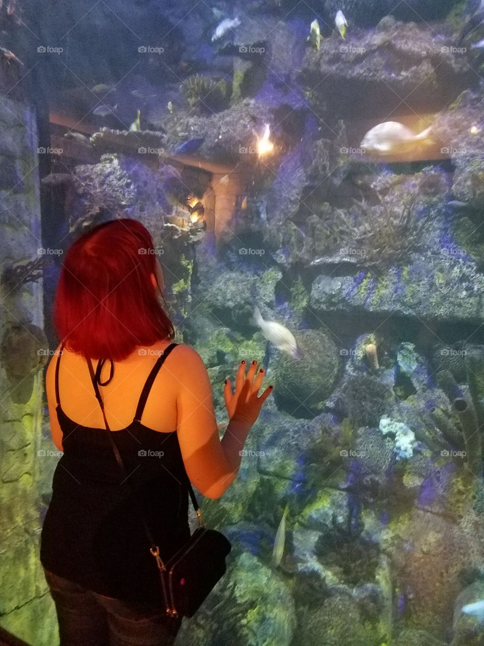 red haired girl looking into an aquarium of fish