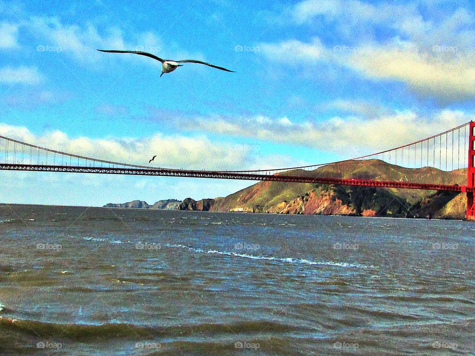 weekend getaway boat tour in San Francisco Bay