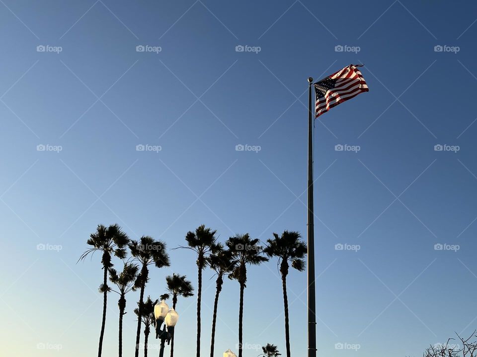 A American flag with the background of beautiful palm trees.