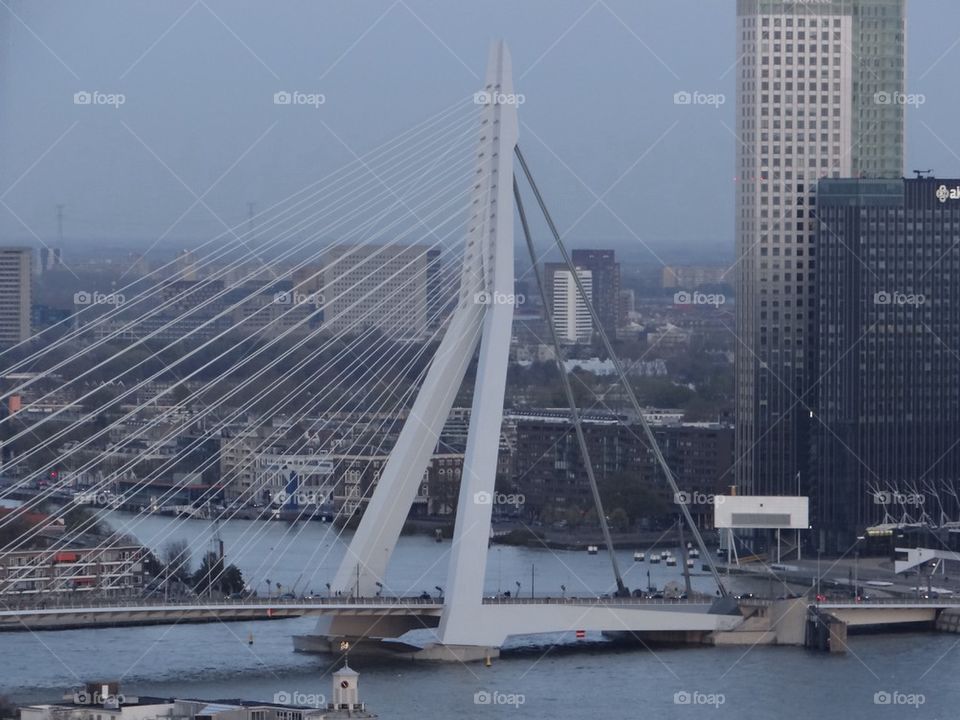 Rotterda View