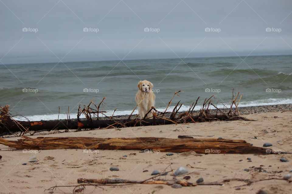 Beach Babe on the shores of lake superior