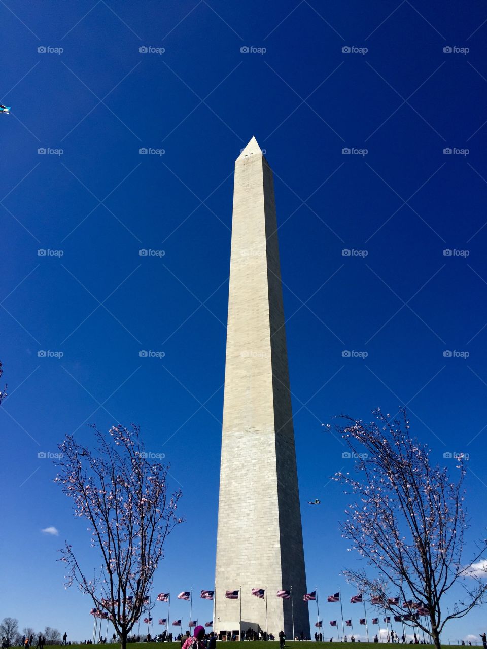 Washington Monument. Trip to D.C. 