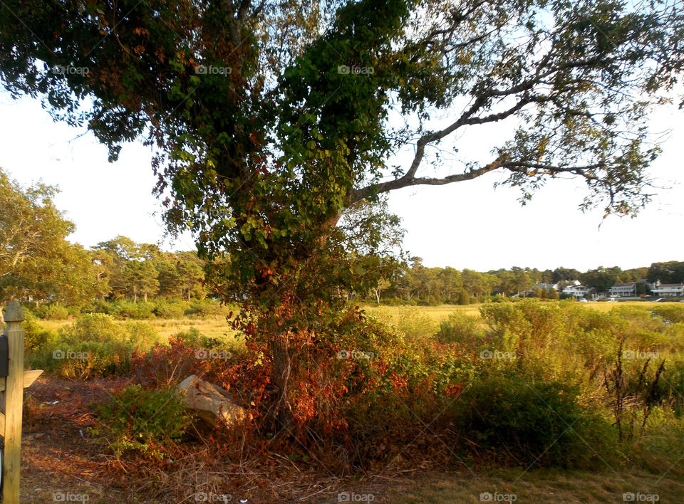 Shady spot on the beach 