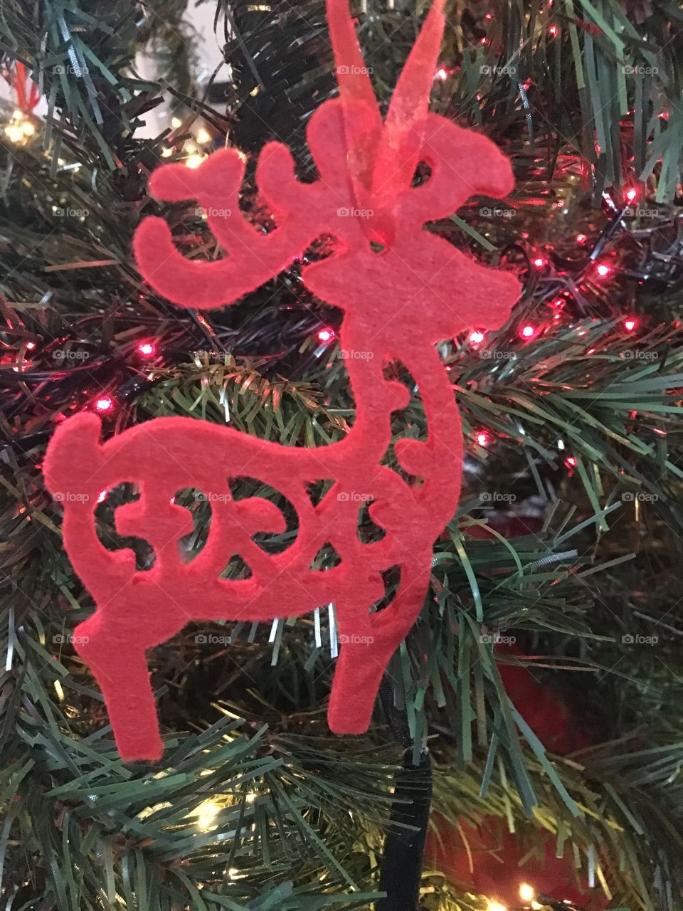 Red reindeer  