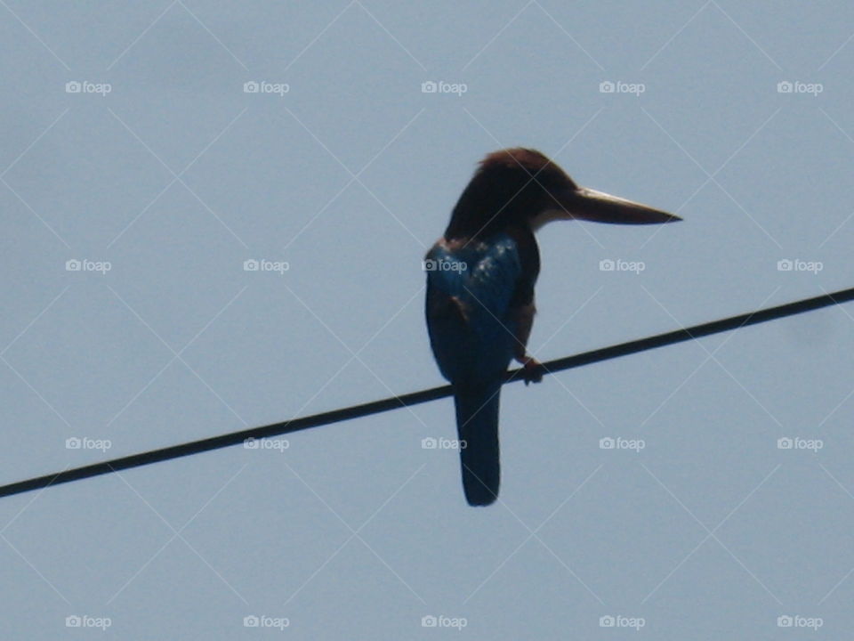 The Glorious Of Mother