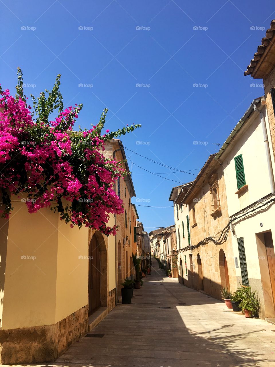 Bouganvilla decorates an street in old town Spain. 