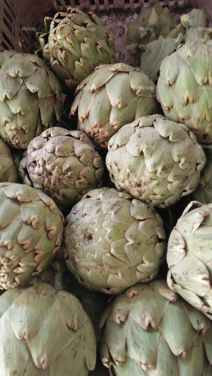 Green artichoke