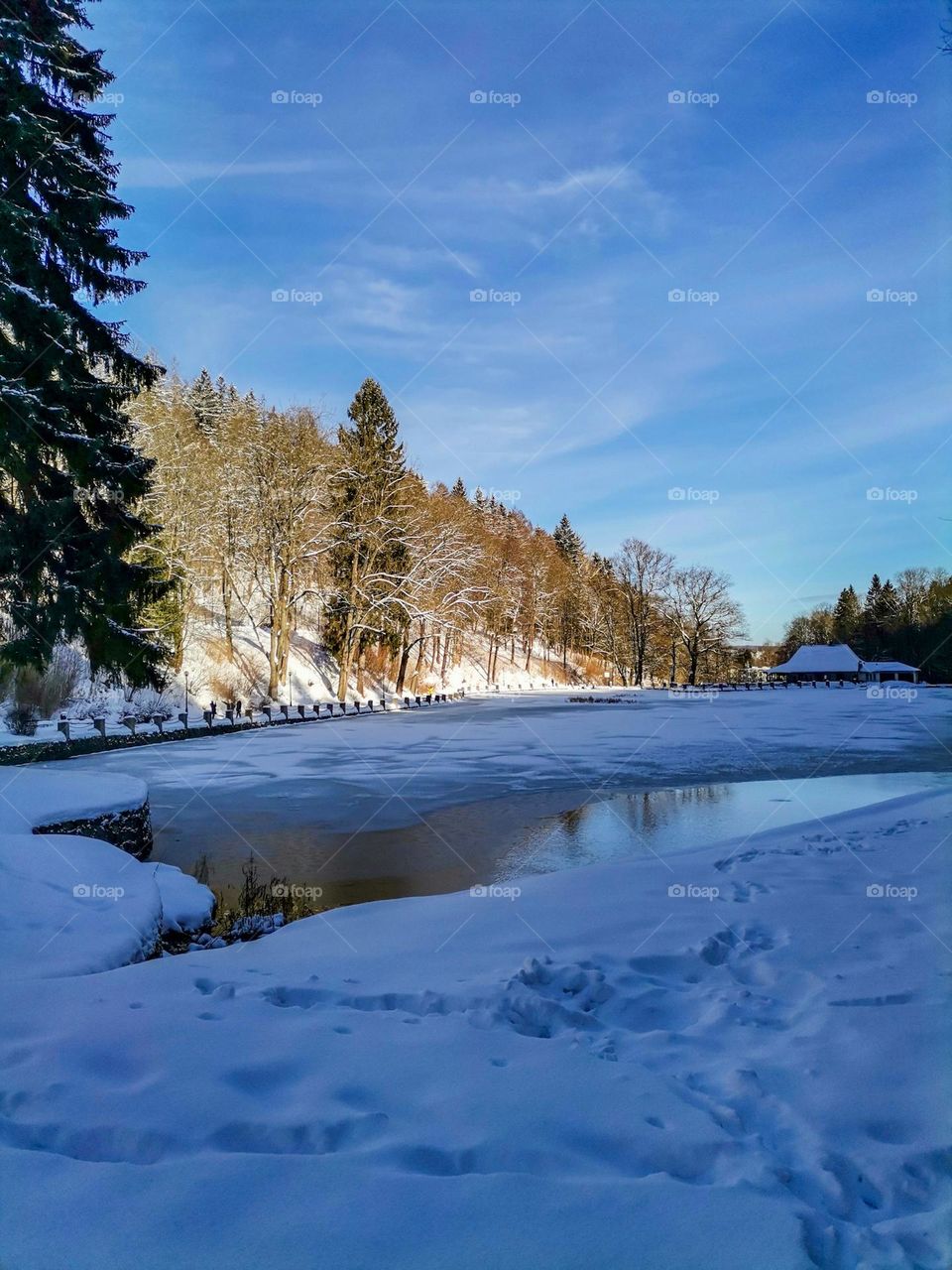 pond in winter scenery