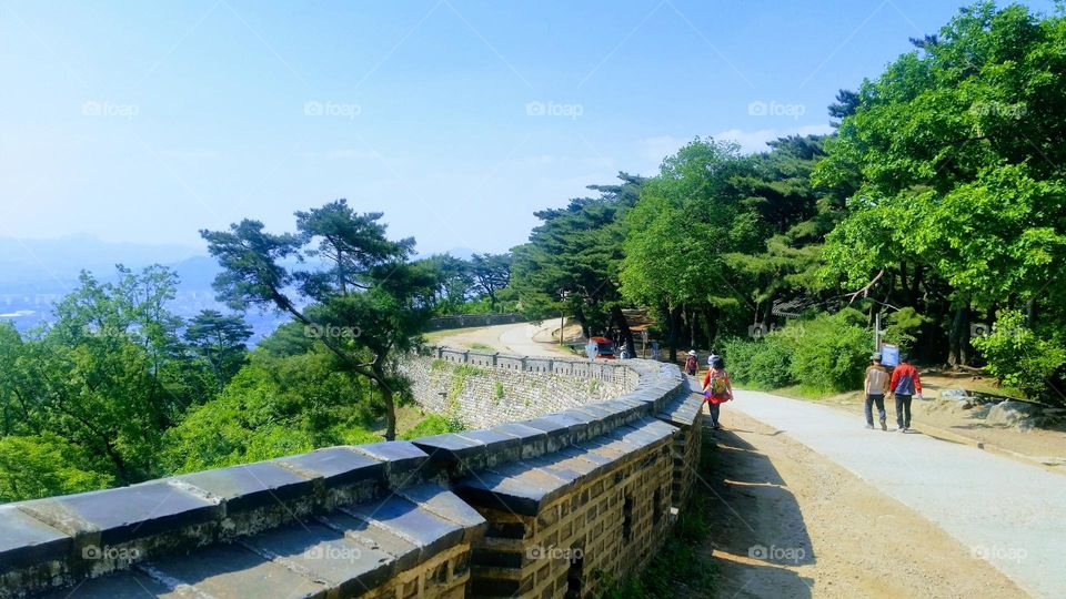 colors of the spring