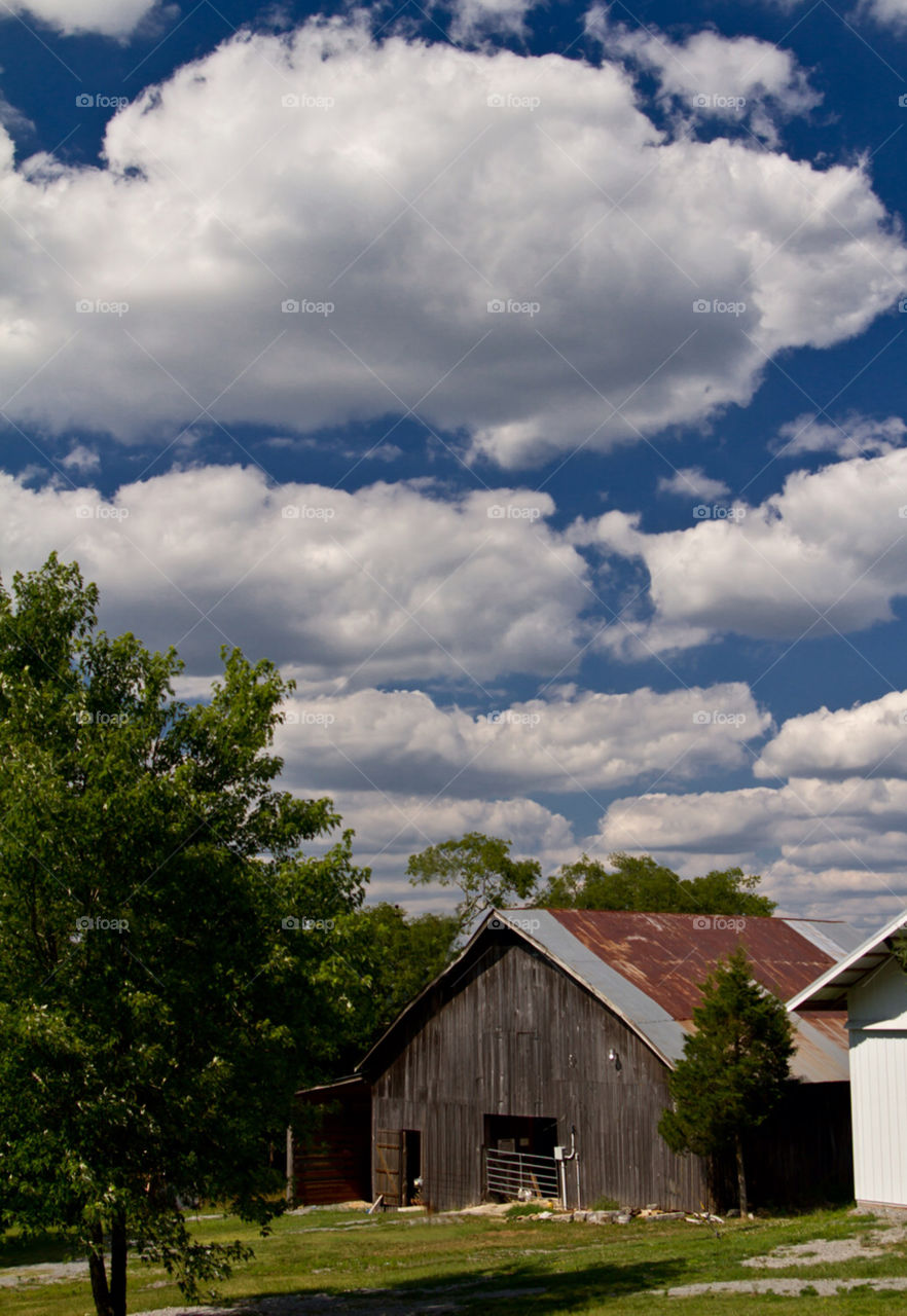 landscape sky sunny clouds by hollyau92