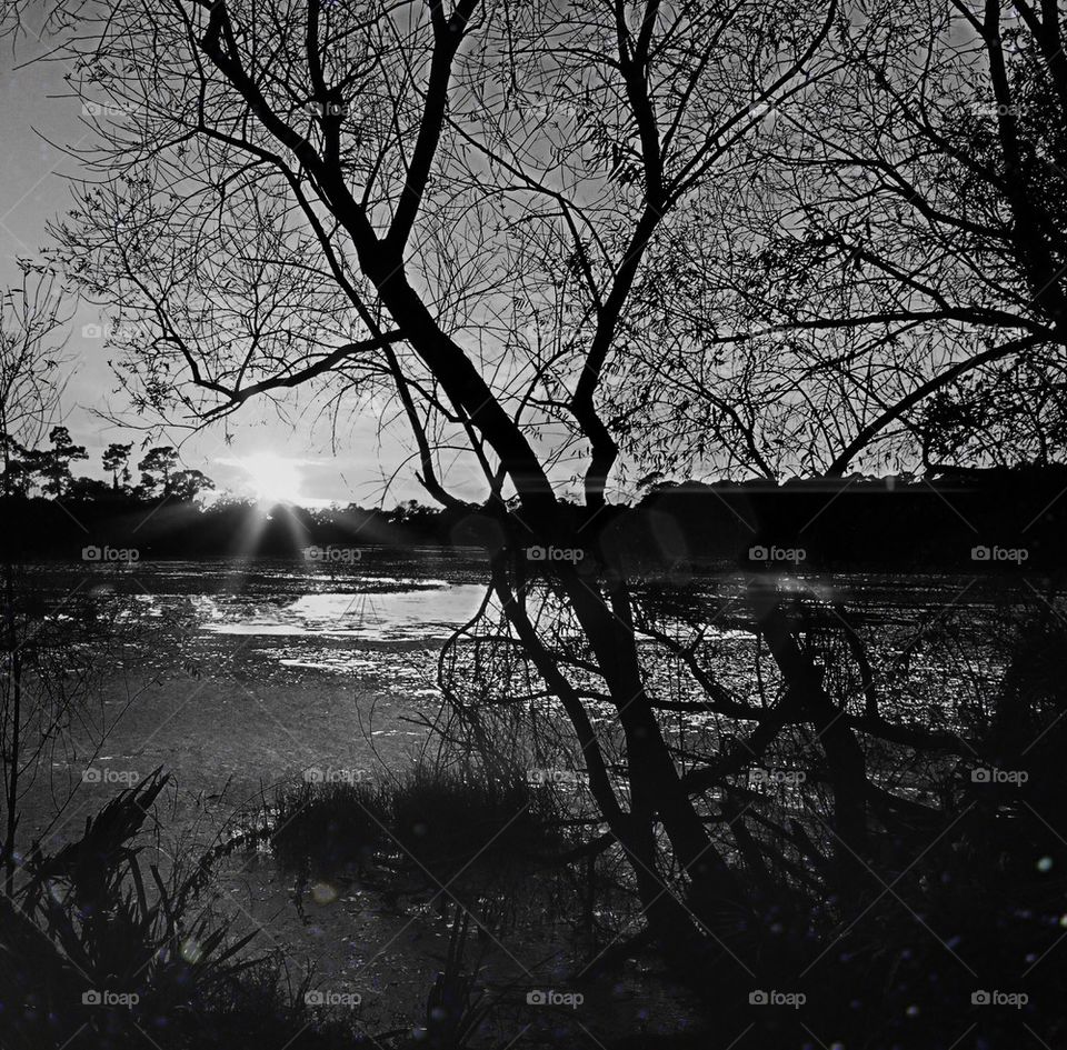 Black and white sunset