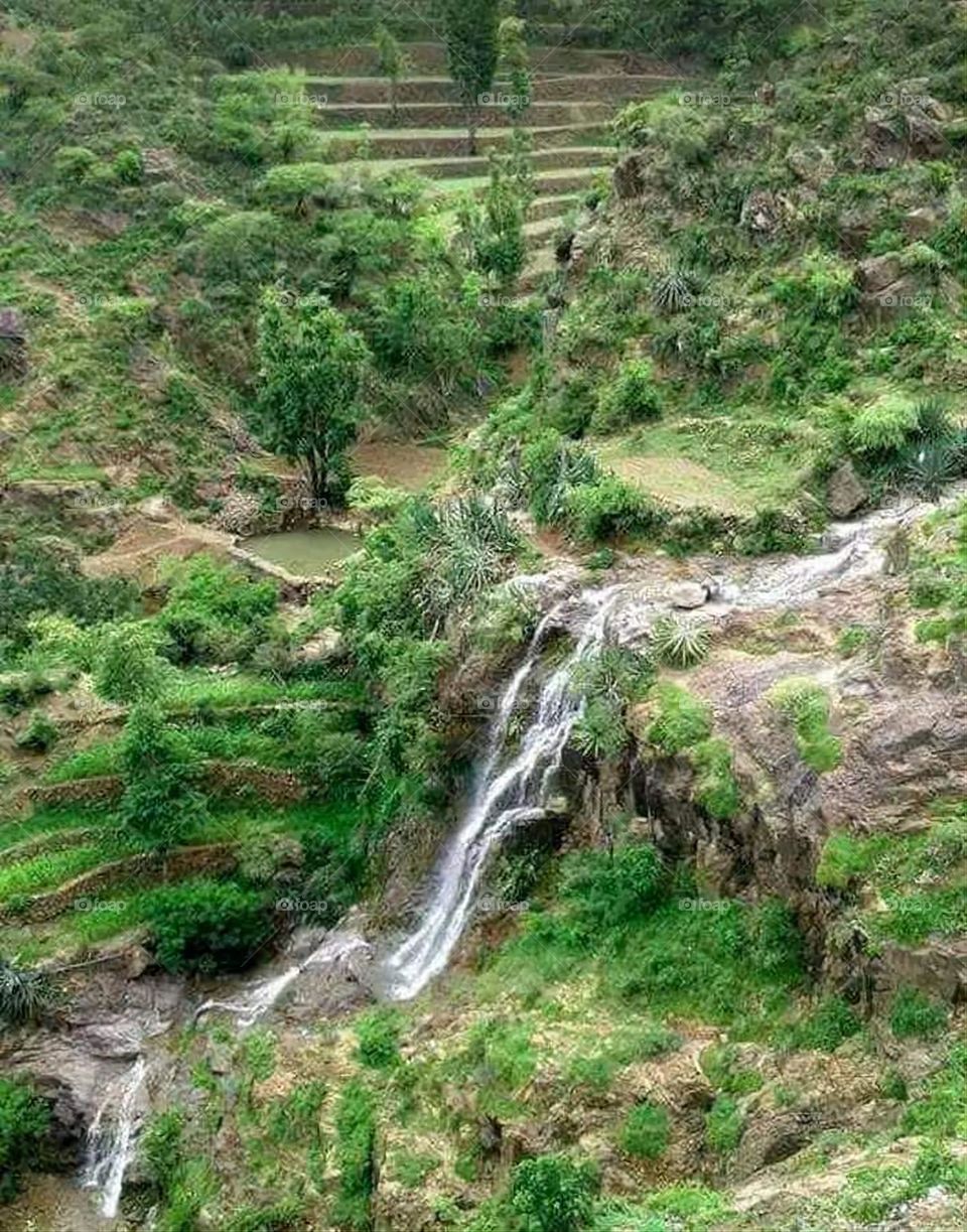 Glory be to God, the magnificent and picturesque view and the natural green trees are a view that is nothing more wonderful than it