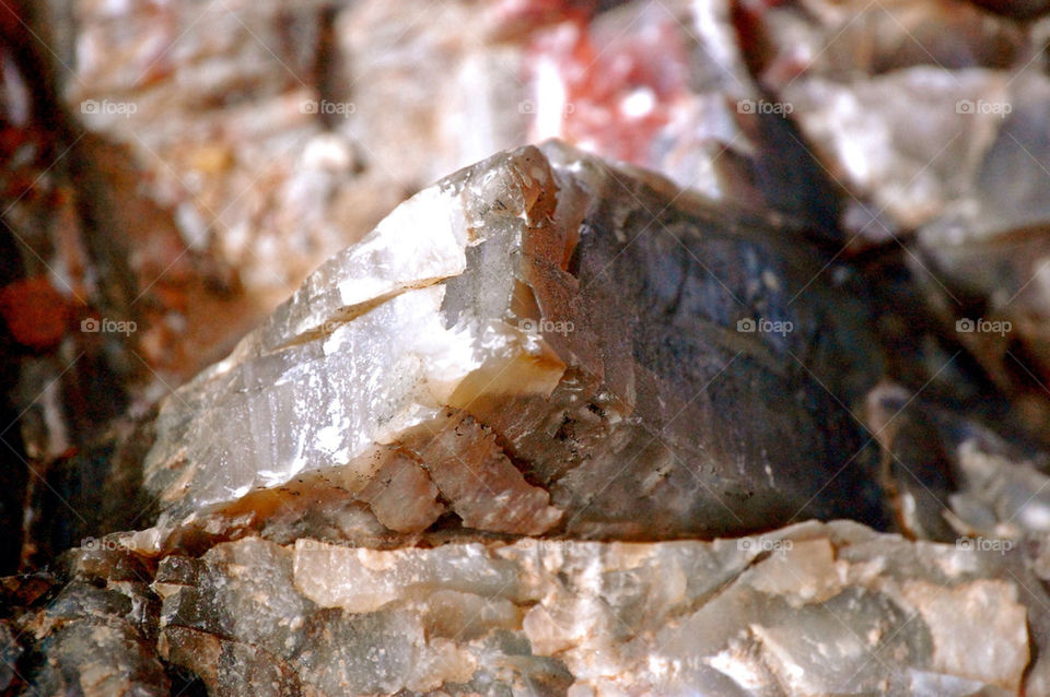 forest petrified arizona by refocusphoto