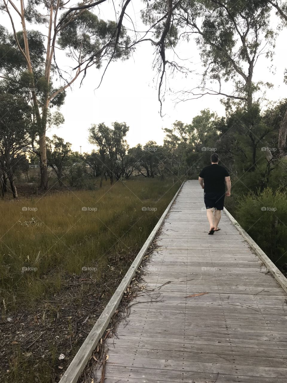 Walking through the Bush