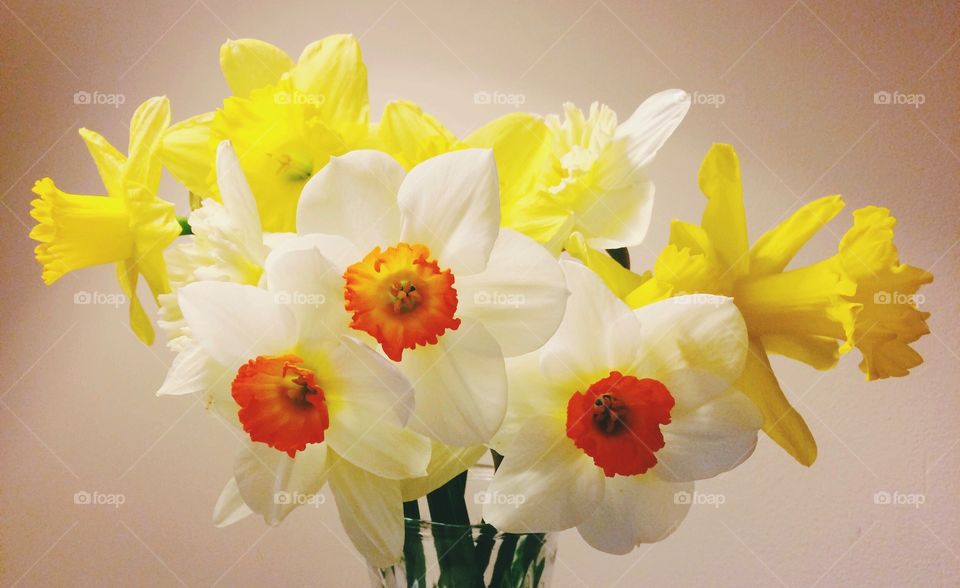 Spring daffodil flower bouquet