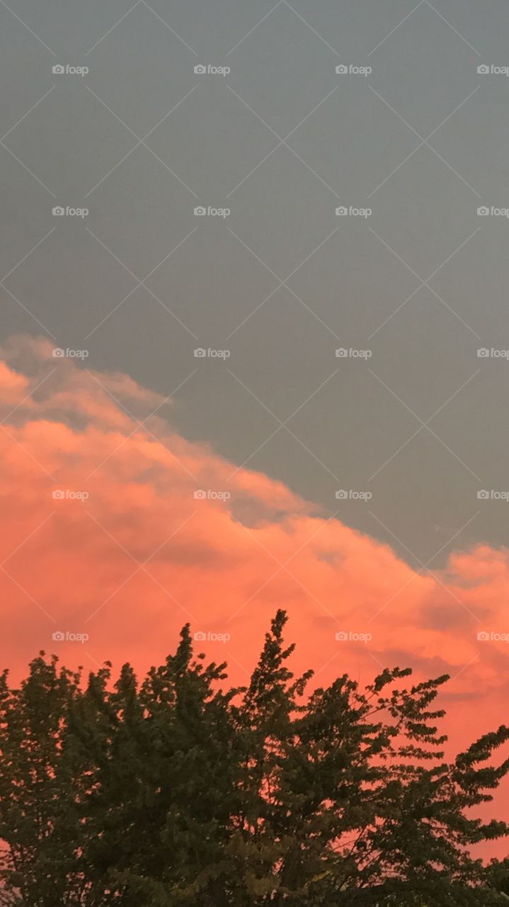 Clouds colored by the setting sun