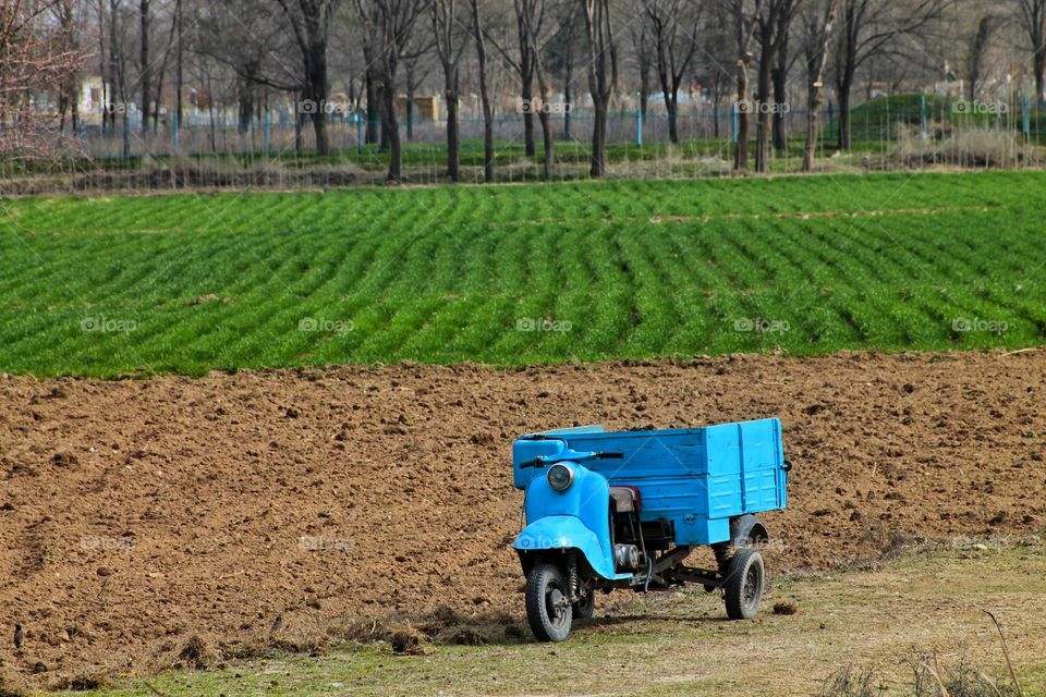 a three-wheeled blue motorcycle stands against the background of a field sown with young wheat. old transport but still works. he is at least 40 years old.